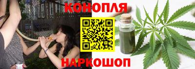 ALPHA PVP Пугачёв