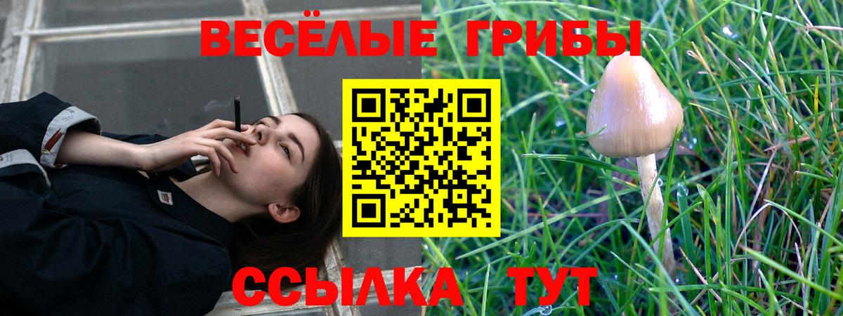 Рассказово  что такое   Вход с VPN  Галлюциногенные грибы Magic Shrooms 