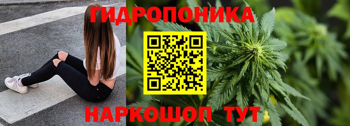Конопля тримм  Вход с VPN  Рассказово  Бошки Шишки марихуана  Бошки Шишки LSD WEED  Каннабис план 